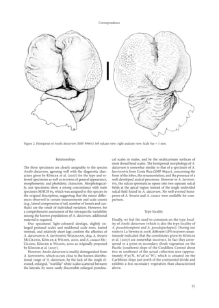 Correspondence




Figure 2. Hemipenis of Anolis datzorum (SMF 89461): left sulcate view; right asulcate view. Scale bar = 1 mm.



                        Relationships                              cal scales in males, and by the multicarinate surfaces of
                                                                   most dorsal head scales. The hemipenial morphology of A.
The three specimens are clearly assignable to the species          datzorum is somewhat similar to that of a specimen of A.
Anolis datzorum, agreeing well with the diagnostic char-           laeviventris from Costa Rica (SMF 86930), concerning the
acters given by Köhler et al. (2007) for the type and re-          form of the lobes, the ornamentation, and the presence of a
ferred specimens as well as in terms of general appearance,        well-developed asulcal processus. However in A. laeviven-
morphometric and pholidotic characters. Morphological-             tris, the sulcus spermaticus opens into two separate sulcal
ly, our specimens show a strong concordance with male              ﬁelds at the apical region instead of the single undivided
specimen MHCH 65, which was assigned to this species in            sulcal ﬁeld found in A. datzorum. No well-everted hemi-
the original description, suggesting that the minor diﬀer-         penes of A. kreutzi and A. cusuco were available for com-
ences observed in certain measurements and scale counts            parison.
(e.g., lateral compression of tail, number of loreals and can-
thals) are the result of individual variation. However, for
a comprehensive assessment of the intraspeciﬁc variability                                  Type locality
among the known populations of A. datzorum, additional
material is required.                                              Finally, we feel the need to comment on the type local-
    Our specimens’ light-coloured dewlaps, slightly en-            ity of Anolis datzorum (which is also the type locality of
larged postanal scales and middorsal scale rows, keeled            A. pseudokemptoni and A. pseudopachypus). During our
ventrals, and relatively short legs conﬁrm the aﬃnities of         visits to La Nevera in 2008, diﬀerent GPS receivers unan-
A. datzorum to A. laeviventris Wiegmann, 834, A. kreutzi          imously indicated that the coordinates given by Köhler
McCranie, Köhler & Wilson, 2000, and A. cusuco Mc-                 et al. (2007) are somewhat incorrect. In fact they corre-
Cranie, Köhler & Wilson, 2000 as originally proposed               spond to a point in secondary shrub vegetation on the
by Köhler et al. (2007).                                           Paciﬁc (southern) slope of the Cordillera Central about
    However, Anolis datzorum is readily distinguished from         600 m southwest of the actual collection area (approx-
A. laeviventris, which occurs close to the known distribu-         imately 8°30’N, 8°46’20’’W), which is situated on the
tional range of A. datzorum, by the lack of the single el-         Caribbean slope just north of the continental divide and
evated, enlarged, “wartlike” white scales scattered between        exhibits a less secondary vegetation than characterized
the laterals, by more easily discernible enlarged postcloa-        above.




                                                                                                                           51
 