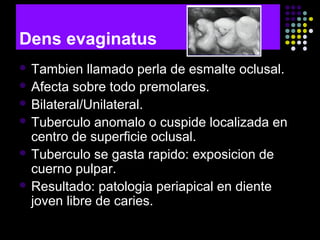 Dens evaginatus
 Tambien llamado perla de esmalte oclusal.
 Afecta sobre todo premolares.
 Bilateral/Unilateral.
 Tuberculo anomalo o cuspide localizada en
centro de superficie oclusal.
 Tuberculo se gasta rapido: exposicion de
cuerno pulpar.
 Resultado: patologia periapical en diente
joven libre de caries.
 