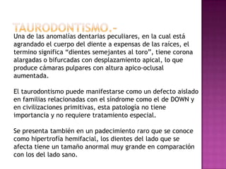 Una de las anomalías dentarias peculiares, en la cual está
agrandado el cuerpo del diente a expensas de las raíces, el
termino significa “dientes semejantes al toro”, tiene corona
alargadas o bifurcadas con desplazamiento apical, lo que
produce cámaras pulpares con altura apico-oclusal
aumentada.
El taurodontismo puede manifestarse como un defecto aislado
en familias relacionadas con el síndrome como el de DOWN y
en civilizaciones primitivas, esta patología no tiene
importancia y no requiere tratamiento especial.
Se presenta también en un padecimiento raro que se conoce
como hipertrofía hemifacial, los dientes del lado que se
afecta tiene un tamaño anormal muy grande en comparación
con los del lado sano.
 