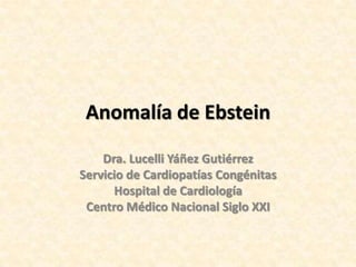 Anomalía de Ebstein

    Dra. Lucelli Yáñez Gutiérrez
Servicio de Cardiopatías Congénitas
      Hospital de Cardiología
 Centro Médico Nacional Siglo XXI
 