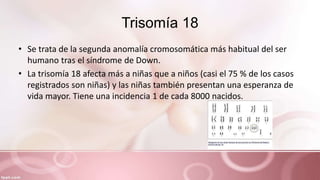 Trisomía 18
• Se trata de la segunda anomalía cromosomática más habitual del ser
humano tras el síndrome de Down.
• La trisomía 18 afecta más a niñas que a niños (casi el 75 % de los casos
registrados son niñas) y las niñas también presentan una esperanza de
vida mayor. Tiene una incidencia 1 de cada 8000 nacidos.
 