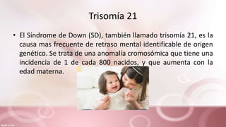 Trisomía 21
• El Síndrome de Down (SD), también llamado trisomía 21, es la
causa mas frecuente de retraso mental identificable de origen
genético. Se trata de una anomalía cromosómica que tiene una
incidencia de 1 de cada 800 nacidos, y que aumenta con la
edad materna.
 