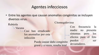 Agentes infecciosos
• Entre los agentes que causan anomalías congénitas se incluyen
diversos virus.
Rubéola
Vacuna
Casi han erradicado
los anomalías por esta
infección
Citomegalovirus
Con frecuencia la
madre no presenta
síntomas pero los
efectos para el feto
pueden ser
devastadores.
Puede causar daño congénito
grave y a veces, resulta letal
 