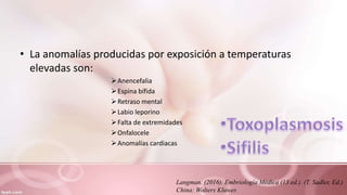 • La anomalías producidas por exposición a temperaturas
elevadas son:
Anencefalia
Espina bífida
Retraso mental
Labio leporino
Falta de extremidades
Onfalocele
Anomalías cardiacas
Langman. (2016). Embriología Médica (13 ed.). (T. Sadler, Ed.)
China: Wolters Kluwer.
 
