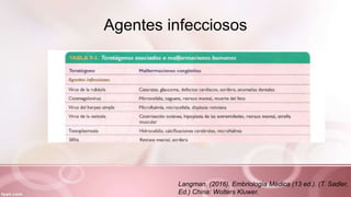 Agentes infecciosos
Langman. (2016). Embriología Médica (13 ed.). (T. Sadler,
Ed.) China: Wolters Kluwer.
 