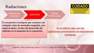 Radiaciones
Radiaciones
ionizantes
DESTUYEN
Células
Proliferantes
Es un potente teratógeno que ocasiona casi
cualquier clase de anomalía congénita, esto
según la dosis y la fase del desarrollo del
embrión en el momento de la exposición.
Langman. (2016). Embriología Médica (13 ed.). (T. Sadler, Ed.) China: Wolters Kluwer.
 