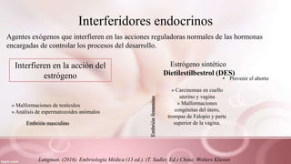Interferidores endocrinos
Agentes exógenos que interfieren en las acciones reguladoras normales de las hormonas
encargadas de controlar los procesos del desarrollo.
Interfieren en la acción del
estrógeno
Estrógeno sintético
Dietilestilbestrol (DES)
• Prevenir el aborto
» Carcinomas en cuello
uterino y vagina
» Malformaciones
congénitas del útero,
trompas de Falopio y parte
superior de la vagina.
Embriónfemenino
» Malformaciones de testículos
» Análisis de espermatozoides anómalos
Embrión masculino
Langman. (2016). Embriología Médica (13 ed.). (T. Sadler, Ed.) China: Wolters Kluwer.
 