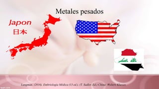 Metales pesados
Langman. (2016). Embriología Médica (13 ed.). (T. Sadler, Ed.) China: Wolters Kluwer.
 