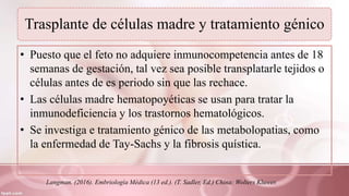 Trasplante de células madre y tratamiento génico
• Puesto que el feto no adquiere inmunocompetencia antes de 18
semanas de gestación, tal vez sea posible transplatarle tejidos o
células antes de es periodo sin que las rechace.
• Las células madre hematopoyéticas se usan para tratar la
inmunodeficiencia y los trastornos hematológicos.
• Se investiga e tratamiento génico de las metabolopatias, como
la enfermedad de Tay-Sachs y la fibrosis quística.
Langman. (2016). Embriología Médica (13 ed.). (T. Sadler, Ed.) China: Wolters Kluwer.
 
