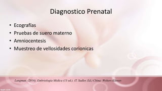 Diagnostico Prenatal
• Ecografías
• Pruebas de suero materno
• Amniocentesis
• Muestreo de vellosidades corionicas
Langman. (2016). Embriología Médica (13 ed.). (T. Sadler, Ed.) China: Wolters Kluwer.
 