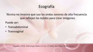Ecografía
Técnica no invasiva que usa las ondas sonoras de alta frecuencia
que reflejan los tejidos para crear imágenes.
Puede ser:
• Transabdominal
• Transvaginal
Langman. (2016). Embriología Médica (13 ed.). (T. Sadler, Ed.) China: Wolters Kluwer.
 