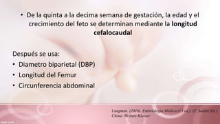 • De la quinta a la decima semana de gestación, la edad y el
crecimiento del feto se determinan mediante la longitud
cefalocaudal
Después se usa:
• Diametro biparietal (DBP)
• Longitud del Femur
• Circunferencia abdominal
Langman. (2016). Embriología Médica (13 ed.). (T. Sadler, Ed.)
China: Wolters Kluwer.
 
