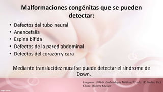 Malformaciones congénitas que se pueden
detectar:
• Defectos del tubo neural
• Anencefalia
• Espina bífida
• Defectos de la pared abdominal
• Defectos del corazón y cara
Mediante translucidez nucal se puede detectar el síndrome de
Down.
Langman. (2016). Embriología Médica (13 ed.). (T. Sadler, Ed.)
China: Wolters Kluwer.
 