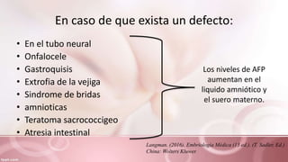 En caso de que exista un defecto:
• En el tubo neural
• Onfalocele
• Gastroquisis
• Extrofia de la vejiga
• Sindrome de bridas
• amnioticas
• Teratoma sacrococcigeo
• Atresia intestinal
Los niveles de AFP
aumentan en el
liquido amniótico y
el suero materno.
Langman. (2016). Embriología Médica (13 ed.). (T. Sadler, Ed.)
China: Wolters Kluwer.
 