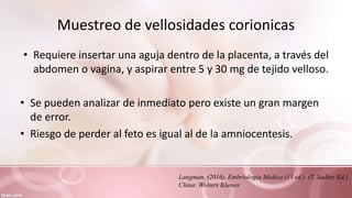 Muestreo de vellosidades corionicas
• Requiere insertar una aguja dentro de la placenta, a través del
abdomen o vagina, y aspirar entre 5 y 30 mg de tejido velloso.
• Se pueden analizar de inmediato pero existe un gran margen
de error.
• Riesgo de perder al feto es igual al de la amniocentesis.
Langman. (2016). Embriología Médica (13 ed.). (T. Sadler, Ed.)
China: Wolters Kluwer.
 