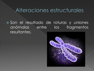    Son el resultado de roturas y uniones
    anómalas      entre los    fragmentos
    resultantes.
 