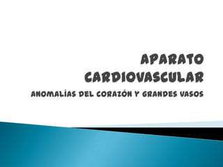 Aparato Cardiovascular Anomalías del corazón y grandes vasos 