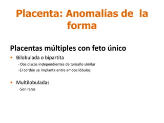 Placenta: Anomalías de la
            forma

Placentas múltiples con feto único
• Bilobulada o bipartita
   - Dos discos i...
