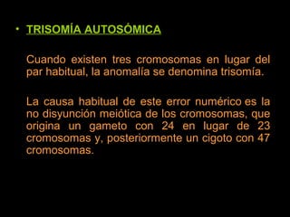 • TRISOMÍA AUTOSÓMICA
Cuando existen tres cromosomas en lugar del
par habitual, la anomalía se denomina trisomía.
La causa habitual de este error numérico es la
no disyunción meiótica de los cromosomas, que
origina un gameto con 24 en lugar de 23
cromosomas y, posteriormente un cigoto con 47
cromosomas.
 