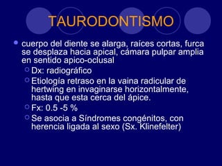 TAURODONTISMO
 cuerpo del diente se alarga, raíces cortas, furca
se desplaza hacia apical, cámara pulpar amplia
en sentido apico-oclusal
 Dx: radiográfico
 Etiología retraso en la vaina radicular de
hertwing en invaginarse horizontalmente,
hasta que esta cerca del ápice.
 Fx: 0.5 -5 %
 Se asocia a Síndromes congénitos, con
herencia ligada al sexo (Sx. Klinefelter)
 
