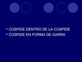 CÚSPIDE DENTRO DE LA CÚSPIDE
CÚSPIDE EN FORMA DE GARRA
 