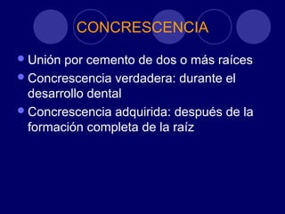 CONCRESCENCIA
Unión por cemento de dos o más raíces
Concrescencia verdadera: durante el
desarrollo dental
Concrescencia adquirida: después de la
formación completa de la raíz
 
