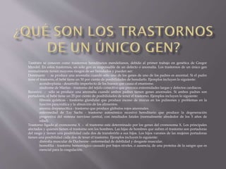 También se conocen como trastornos hereditarios mendelianos, debido al primer trabajo en genética de Gregor
Mendel. En estos trastornos, un solo gen es responsable de un defecto o anomalía. Los trastornos de un único gen
normalmente tienen mayores riesgos de ser heredados y pueden ser:
Dominante - se produce una anomalía cuando sólo uno de los genes de uno de los padres es anormal. Si el padre
tiene el trastorno, el bebé tiene un 50 por ciento de posibilidades de heredarlo. Ejemplos incluyen lo siguiente:
acondroplasia - desarrollo imperfecto de los huesos que causa el enanismo.
síndrome de Marfan - trastorno del tejido conectivo que provoca extremidades largas y defectos cardíacos.
Recesivo - sólo se produce una anomalía cuando ambos padres tienen genes anormales. Si ambos padres son
portadores, el bebé tiene un 25 por ciento de posibilidades de tener el trastorno. Ejemplos incluyen lo siguiente:
fibrosis quísticas - trastorno glandular que produce exceso de mucus en los pulmones y problemas en la
función pancreática y la absorción de los alimentos.
anemia drepanocítica - trastorno que produce glóbulos rojos anormales.
enfermedad de Tay Sachs - trastorno autosómico recesivo hereditario que produce la degeneración
progresiva del sistema nervioso central, con resultados fatales (normalmente alrededor de los 5 años de
edad).
Trastorno ligado al cromosoma X - el trastorno está determinado por los genes del cromosoma X. Los principales
afectados y quienes tienen el trastorno son los hombres. Las hijas de hombres que sufren el trastorno son portadoras
del rasgo y tienen una posibilidad cada dos de transferirlo a sus hijos. Los hijos varones de las mujeres portadoras
tienen una posibilidad cada dos de tener el trastorno. Ejemplos incluyen lo siguiente:
distrofia muscular de Duchenne - enfermedad de debilidad y desgaste muscular.
hemofilia - trastorno hemorrágico causado por bajos niveles, o ausencia, de una proteína de la sangre que es
esencial para la coagulación.

 