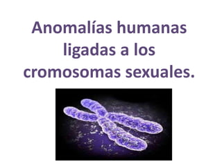 Anomalías humanas
ligadas a los
cromosomas sexuales.
 
