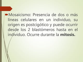 Mosaicismo: Presencia de dos o más
líneas celulares en un individuo, su
origen es postcigótico y puede ocurrir
desde los 2 blastómeros hasta en el
individuo. Ocurre durante la mitosis.
 