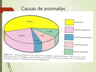 Causas de anomalías
 
