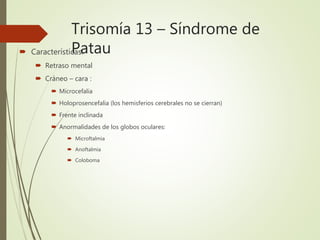 Trisomía 13 – Síndrome de
Patau Características:
 Retraso mental
 Cráneo – cara :
 Microcefalia
 Holoprosencefalia (los hemisferios cerebrales no se cierran)
 Frente inclinada
 Anormalidades de los globos oculares:
 Microftalmia
 Anoftalmia
 Coloboma
 