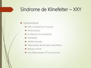 Síndrome de Klinefelter – XXY
 Características:
 Sólo se presenta en varones
 Ginecomastia
 Se detecta en la pubertad
 Esterilidad
 Atrofia testicular
 Hialinización de los tubos seminíferos
 Retraso mental
 Las células poseen 47 cromosomas
 