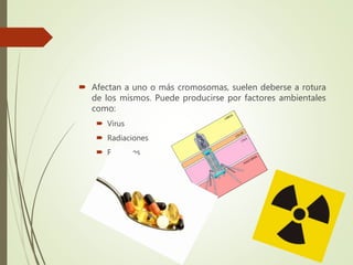  Afectan a uno o más cromosomas, suelen deberse a rotura
de los mismos. Puede producirse por factores ambientales
como:
 Virus
 Radiaciones
 Fármacos
 
