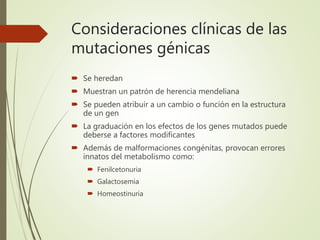 Consideraciones clínicas de las
mutaciones génicas
 Se heredan
 Muestran un patrón de herencia mendeliana
 Se pueden atribuir a un cambio o función en la estructura
de un gen
 La graduación en los efectos de los genes mutados puede
deberse a factores modificantes
 Además de malformaciones congénitas, provocan errores
innatos del metabolismo como:
 Fenilcetonuria
 Galactosemia
 Homeostinuria
 