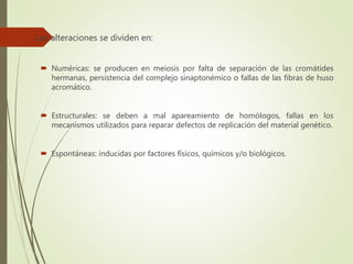  Las alteraciones se dividen en:
 Numéricas: se producen en meiosis por falta de separación de las cromátides
hermanas, persistencia del complejo sinaptonémico o fallas de las fibras de huso
acromático.
 Estructurales: se deben a mal apareamiento de homólogos, fallas en los
mecanismos utilizados para reparar defectos de replicación del material genético.
 Espontáneas: inducidas por factores físicos, químicos y/o biológicos.
 