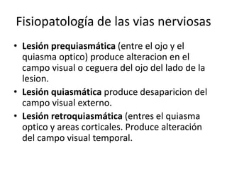 anomal-as-y-alteraciones-de-la-visi-n-pptx