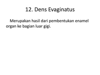 12. Dens Evaginatus
Merupakan hasil dari pembentukan enamel
organ ke bagian luar gigi.

 