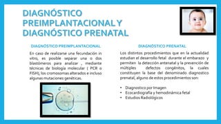 DIAGNÓSTICO PREIMPLANTACIONAL DIAGNÓSTICO PRENATAL
En caso de realizarse una fecundación in
vitro, es posible separar una o dos
blastómeros para analizar , mediante
técnicas de biología molecular ( PCR o
FISH), los cromosomas alterados e incluso
algunas mutaciones genéticas.
Los distintos procedimientos que en la actualidad
estudian el desarrollo fetal durante el embarazo y
permiten la detección antenatal y la prevención de
múltiples defectos congénitos, la cuales
constituyen la base del denominado diagnostico
prenatal, alguno de estos procedimientos son:
• Diagnostico por Imagen
• Ecocardiografía y hemodinámica fetal
• Estudios Radiológicos
 