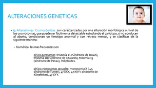 Alteraciones Cromosómicas: son caracterizadas por una alteración morfológica a nivel de
los cromosomas, que puede ser fácilmente detectable estudiando el cariotipo, si no conducen
al aborto, condicionan un fenotipo anormal y con retraso mental, y se clasificas de la
siguiente manera:
• Numérica: las mas frecuentes son
de los autosomas: trisomía 21 (Síndrome de Down),
trisomía 18 (síndrome de Edwards), trisomía 13
(síndrome de Patau), Poliploides.
de los cromosomas sexuales: monosomia X ( 45,
síndrome deTurner), 47 XXX, 47 XXY ( síndrome de
Klinefelter), 47 XYY.
ALTERACIONES GENETICAS
 