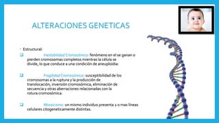 ALTERACIONES GENETICAS
 Estructural:
 Inestabilidad Cromosómica: fenómeno en el se ganan o
pierden cromosomas completos mientras la célula se
divide, lo que conduce a una condición de aneuploidia:
Fragilidad Cromosómica susceptibilidad de los
cromosomas a la ruptura y la producción de
translocación, inversión cromosómica, eliminación de
secuencia y otras aberraciones relacionadas con la
rotura cromosómica.
 Mosaicismo: un mismo individuo presenta 2 o mas líneas
celulares citogeneticamente distintas.
 
