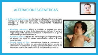 ALTERACIONES GENETICAS
• B. Alteraciones Genéticas: en ellas la morfológica del cromosoma es
normal, por lo que no se manifiestan en el cariotipo, residiendo la
patología a nivel de los genes, mayormente mutaciones
monogenicas
• Autosómica Dominante: afecta a hombres y mujeres por igual,
aproximadamente la mitad de los descendientes heredan el gen y el
rasgo consiguiente, los descendientes que no han heredado el gen no
trasmitirán el gen a su descendencia.
• Autosómica Recesiva: requiere dos alelos del gen y el rasgo consiguiente,
los afectos son hijos de padres habitualmente sanos o a veces
consanguíneos.
• Recesiva Ligada al Sexo: generalmente ligada al cromosoma X,
habitualmente las hembras son las portadoras del gen en uno de sus
cromosomas no padeciendo el rasgo, aproximadamente la mitad de los
varones son estarán afectos y la mitad de sus hijas serán portadoras.
 