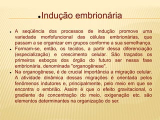 Indução embrionária
 A seqüência dos processos de indução promove uma
variedade morfofuncional das células embrionárias, que
passam a se organizar em grupos conforme a sua semelhança.
 Formam-se, então, os tecidos, a partir dessa diferenciação
(especialização) e crescimento celular. São traçados os
primeiros esboços dos órgão do futuro ser nessa fase
embrionária, denominada "organogênese".
 Na organogênese, é de crucial importância a migração celular.
A atividade dinâmica dessas migrações é orientada pelos
fenômenos indutores e, principalmente, pelo meio em que se
encontra o embrião. Assim é que o efeito gravitacional, o
gradiente de concentração do meio, oxigenação etc. são
elementos determinantes na organização do ser.
 