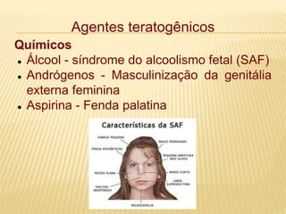 Agentes teratogênicos
Químicos
 Álcool - síndrome do alcoolismo fetal (SAF)
 Andrógenos - Masculinização da genitália
externa feminina
 Aspirina - Fenda palatina
 