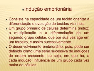 Indução embrionária
 Consiste na capacidade de um tecido orientar a
diferenciação e evolução de tecidos vizinhos.
 Um grupo primário de células determina (induz)
a multiplicação e a diferenciação de um
segundo grupo celular, que por sua vez age em
um terceiro, e assim sucessivamente.
 O desenvolvimento embrionário, pois, pode ser
definido como uma série sucessiva de induções
de ordem crescente, ou seja, em que há, a
cada indução, influência de um grupo cada vez
maior de células.
 