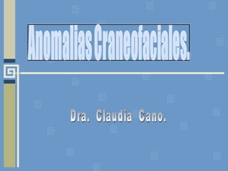 Dra.  Claudia  Cano. 