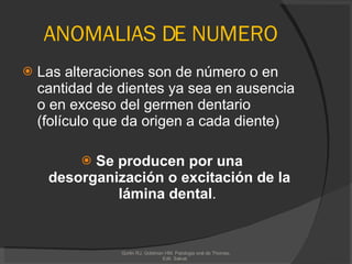 ANOMALIAS DE NUMERO Las alteraciones son de número o en cantidad de dientes ya sea en ausencia o en exceso del germen dentario (folículo que da origen a cada diente)   Se producen por una desorganización o excitación de la lámina dental .  Gorlin RJ, Goldman HM. Patologia oral de Thomas. Edit. Salvat.  