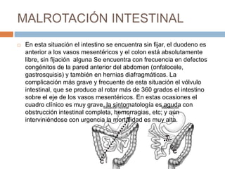 MALROTACIÓN INTESTINAL 
 En esta situación el intestino se encuentra sin fijar, el duodeno es 
anterior a los vasos mesentéricos y el colon está absolutamente 
libre, sin fijación alguna Se encuentra con frecuencia en defectos 
congénitos de la pared anterior del abdomen (onfalocele, 
gastrosquisis) y también en hernias diafragmáticas. La 
complicación más grave y frecuente de esta situación el vólvulo 
intestinal, que se produce al rotar más de 360 grados el intestino 
sobre el eje de los vasos mesentéricos. En estas ocasiones el 
cuadro clínico es muy grave, la sintomatología es aguda con 
obstrucción intestinal completa, hemorragias, etc; y aún 
interviniéndose con urgencia la mortalidad es muy alta. 
 