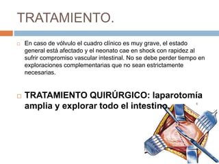 TRATAMIENTO. 
 En caso de vólvulo el cuadro clínico es muy grave, el estado 
general está afectado y el neonato cae en shock con rapidez al 
sufrir compromiso vascular intestinal. No se debe perder tiempo en 
exploraciones complementarias que no sean estrictamente 
necesarias. 
 TRATAMIENTO QUIRÚRGICO: laparotomía 
amplia y explorar todo el intestino. 
 