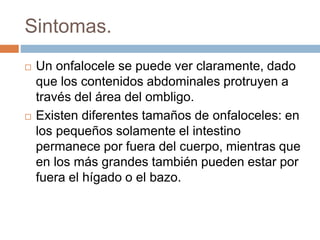 Sintomas. 
 Un onfalocele se puede ver claramente, dado 
que los contenidos abdominales protruyen a 
través del área del ombligo. 
 Existen diferentes tamaños de onfaloceles: en 
los pequeños solamente el intestino 
permanece por fuera del cuerpo, mientras que 
en los más grandes también pueden estar por 
fuera el hígado o el bazo. 
 