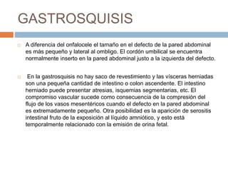 GASTROSQUISIS 
 A diferencia del onfalocele el tamaño en el defecto de la pared abdominal 
es más pequeño y lateral al ombligo. El cordón umbilical se encuentra 
normalmente inserto en la pared abdominal justo a la izquierda del defecto. 
 En la gastrosquisis no hay saco de revestimiento y las vísceras herniadas 
son una pequeña cantidad de intestino o colon ascendente. El intestino 
herniado puede presentar atresias, isquemias segmentarias, etc. El 
compromiso vascular sucede como consecuencia de la compresión del 
flujo de los vasos mesentéricos cuando el defecto en la pared abdominal 
es extremadamente pequeño. Otra posibilidad es la aparición de serositis 
intestinal fruto de la exposición al líquido amniótico, y esto está 
temporalmente relacionado con la emisión de orina fetal. 
 